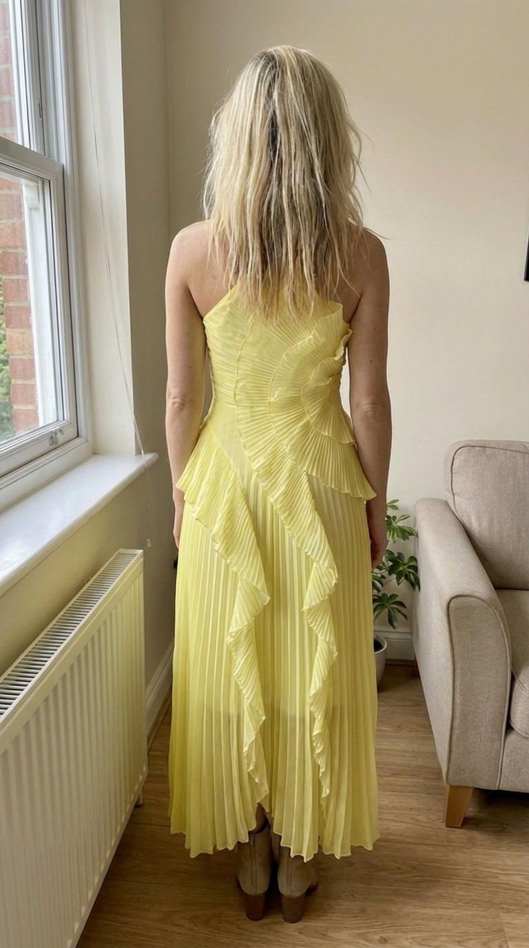Pleated Ruffle Airy Gown Dress